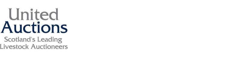 United Auctions United Auctions is Scotland's leading livestock auctioneers. We operate a network of auction marts throughout Scotland including Stirling, Huntly, Lairg, Dalmally, Tiree, Islay, South Uist and Oban. We conduct auctions of both commercial and pedigree livestock, including the world-famous Stirling Bull Sales.