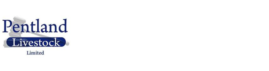 Pentland Livestock Limited Pentland Livestock Limited, specialising in all aspects of the livestock trade, from marketing & sourcing stock for farmers on a daily basis to conducting specialist sales.