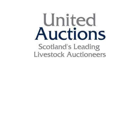 United Auctions United Auctions is Scotland's leading livestock auctioneers. We operate a network of auction marts throughout Scotland including Stirling, Huntly, Lairg, Dalmally, Tiree, Islay, South Uist and Oban. We conduct auctions of both commercial and pedigree livestock, including the world-famous Stirling Bull Sales.