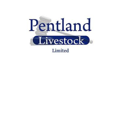 Pentland Livestock Limited Pentland Livestock Limited, specialising in all aspects of the livestock trade, from marketing & sourcing stock for farmers on a daily basis to conducting specialist sales.